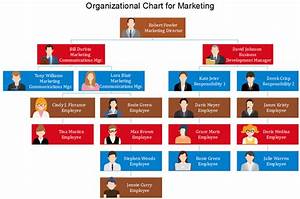 Org Chart For Business Org Charting