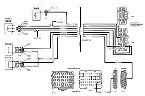 Denso Oxygen Sensor Wire Diagram