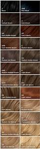The Best Nice And Easy Hair Dye Colour Chart Uk And Pics Brown Hair