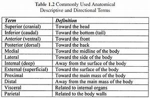 Introduction To The Human Body Help Education Com Medical Studies