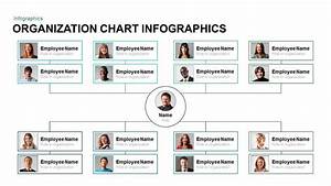 Organization Chart Infographic Template For Powerpoint And Keynote Slide