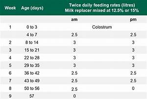 Are You Feeding Your Pre Weaned Heifer Calves Enough Milk Agriland Ie