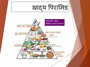 Food Pyramid In Hindi