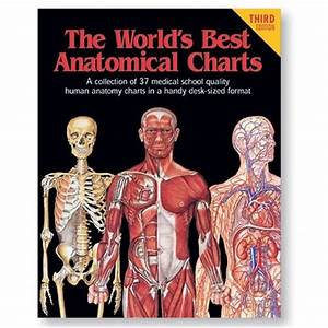 Buy The World 39 S Best Anatomical Charts World 39 S Best Anatomical Chart