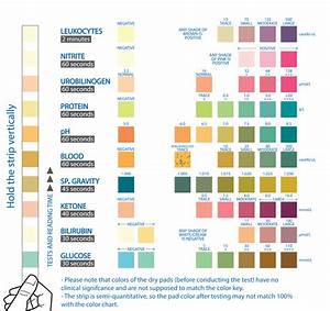 Chemstrip Color Chart Home Urinalysis Test Color Chart And The
