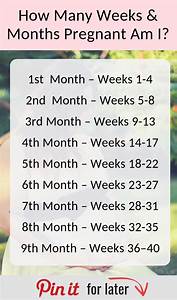 23 Weeks Is How Many Months Examples And Forms