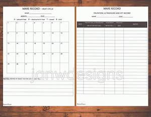  Record Equine Journal System Letter Size A4 Size Horse