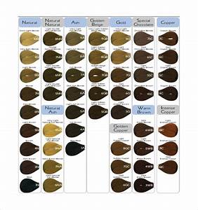 The Best Hair Color Chart With All Shades Of Brown Red Black A