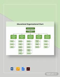 Free School Organizational Chart Templates 21 Download In Word Pages