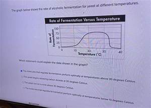 The Graph Below Shows The Rate Of Alcoholic Fermentation For Yeast At