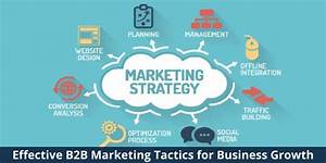 Effective B2b Marketing Tactics For Business Growth Riz Mona