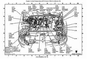 2002 F150 4 2 V6 Engine Diagram
