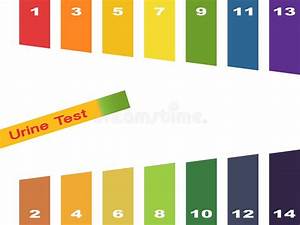 Vial Of 100 Litmus Paper Ph Test Strips With Color Comparison Chart