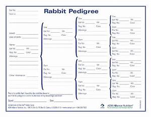 8 Best Images About Rabbits On Pinterest Rabbit Cages Fruits And