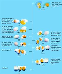Egg Chart Cooking Chef Cooking For Two Cooking Basics Cooking And