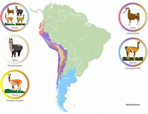 Llama And Alpaca Distribution Map