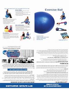 Ball Exercise Chart Free Download