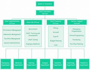 Hospital Org Chart Examples Org Charting
