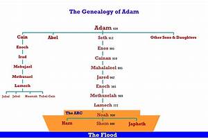 Genealogies Bible Genealogy Bible Study Scripture Bible Family Tree
