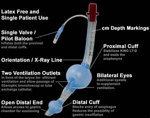 King Airway Size Chart