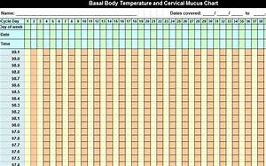 Basal Body Temperature Chart Basal Body Thermometer