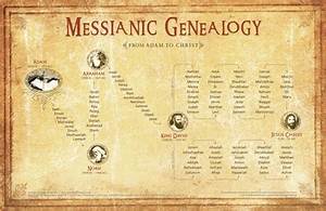 Messianic Genealogy Wall Chart Pdf Answers In Genesis