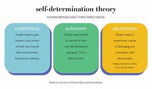 Self Determination Theory Post Secondary Peer Support Training Curriculum