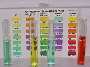 Api Freshwater Master Test Kit Chart