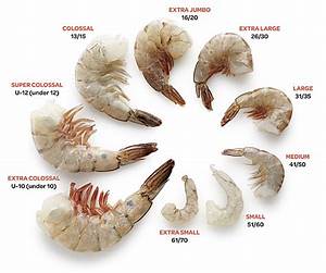 Chart Of Shrimp Sizing