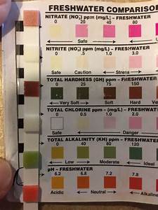 Color Chart Freshwater Aquarium Water Testing Chart Aquariumia