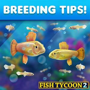 Magic Fish Fish Tycoon 2 Chart Dota Blog Info