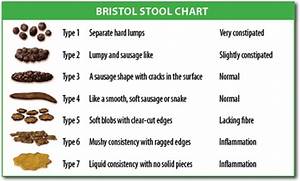 bowel movement chart meaning picture and types healthhype com