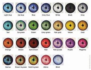 The 25 Best Eye Color Charts Ideas On Pinterest Dark Hazel Eyes