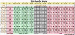 Bmi Calculator For Adults Hacboom