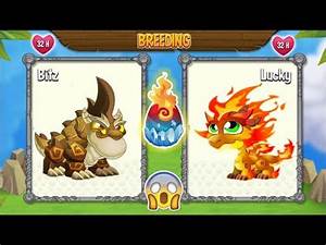 New Double Terra Dragon Double Flame Dragon Dragon City