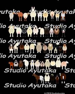 46 Breeds Of Sheep Chart Svg Png Jpg 1620 Etsy