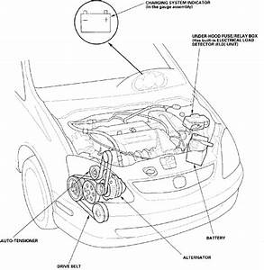 2006 Honda Civic Drive Belt Diagram