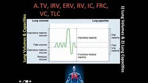 Lung Volumes Capacities 1 Of1 Youtube