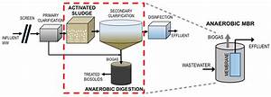 Fermentation Free Full Text Anaerobic Membrane Bioreactor Effluent