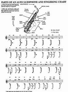 Free Parts Of An Alto Saxophone And Chart Pdf 1033kb 1