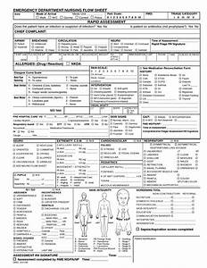 Printable Nursing Assessment Cheat Sheet Rapid Assessment Emergency