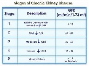 Rsidefenser Why Use Gfr As A Measure Of Kidney Function