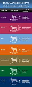 Sizing Chart For Crate Dog Crate Sizes Petsmart Dog Dog Crate
