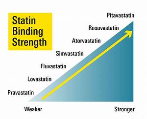 Factors To Consider When Choosing A Statin
