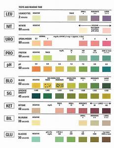 Ph Test Color Chart