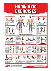 Home Gym Exercises Laminated Poster Chart Home Gym Chart Home Gym
