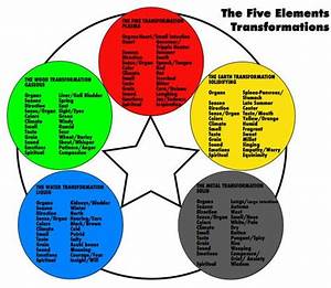 5 Elements Acupressure Treatment Shiatsu Shiatsu