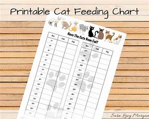 Printable Kitten Feeding Chart