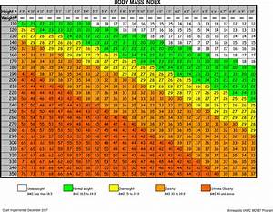 Free Body Mass Index Chart Pdf 115kb 2 Page S