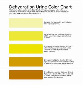 8 Sample Urine Color Chart Templates To Download For Free Sample